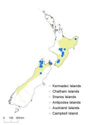 Cardamine polyodontes distribution map based on databased records at AK, CHR, OTA & WELT.
 Image: K.Boardman © Landcare Research 2018 CC BY 4.0